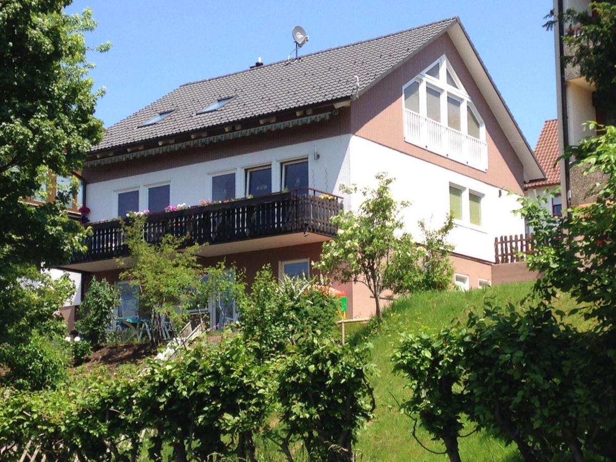 Haus Talblick Apartment Freudenstadt Bagian luar foto